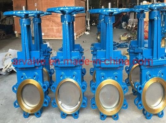 産業パイプラインNPS24 60PSI CF8M APIのゲート弁